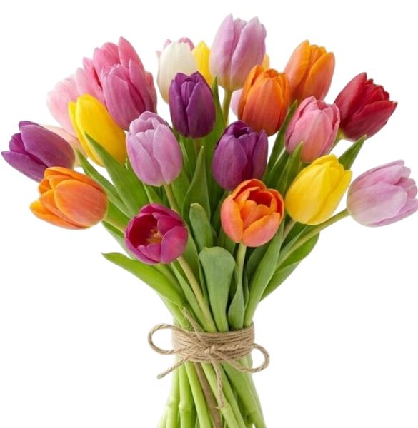 זר טוליפים חורפי | מק"ט 250