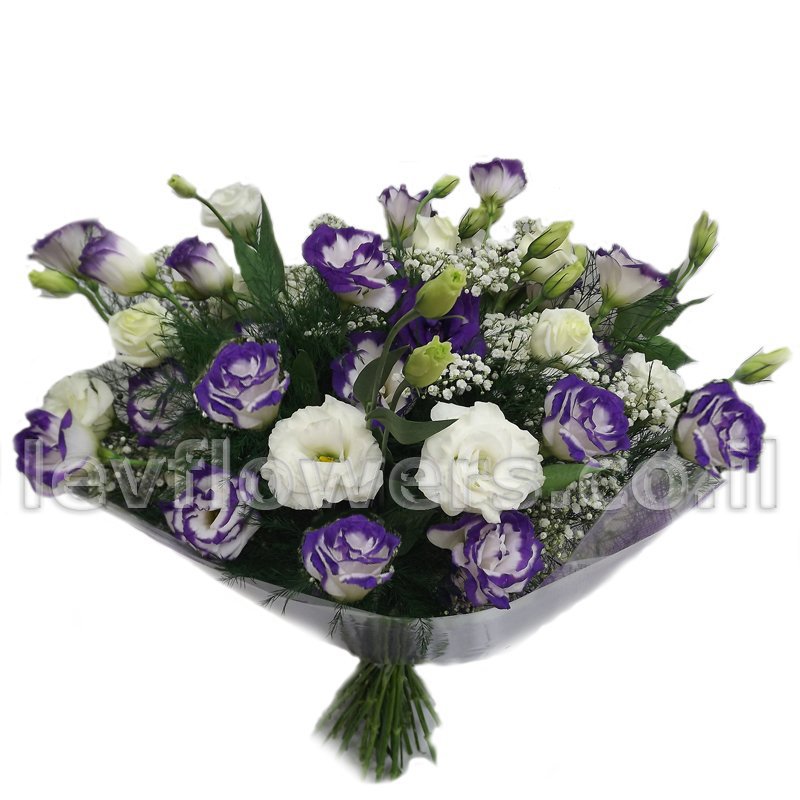 זר ליזי סגול לבן לחג| מק"ט 8204