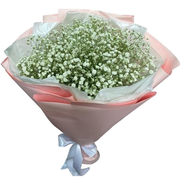 זר גיפסנית לבן|מק"ט 299